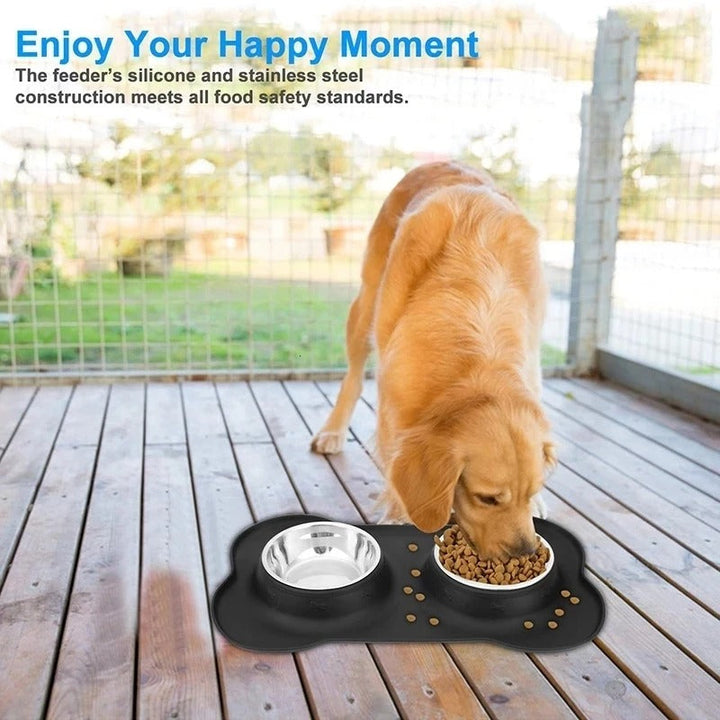 PawFeast Duo Bowlift