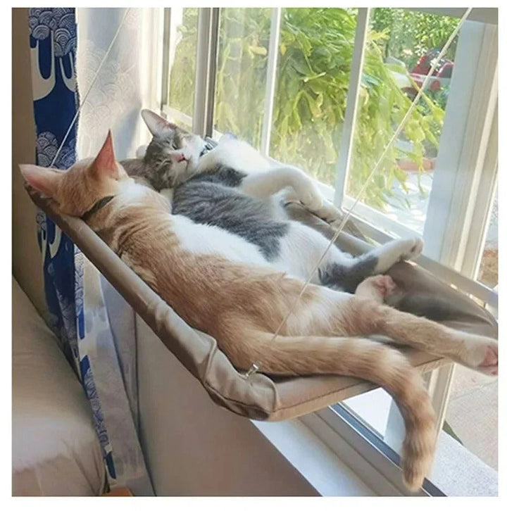 Cat Hammock Bowlift