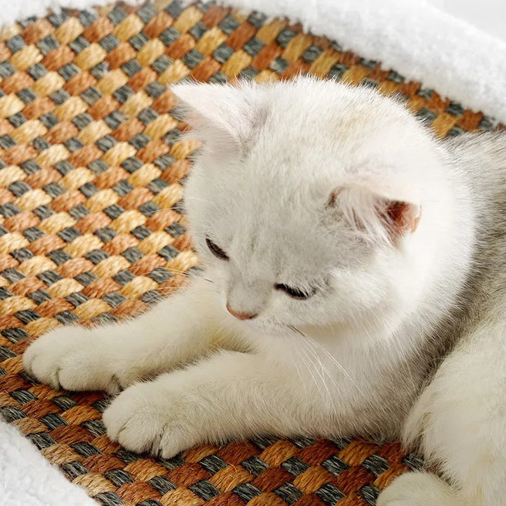 Luxury Scratch - Cat Bed Bowlift