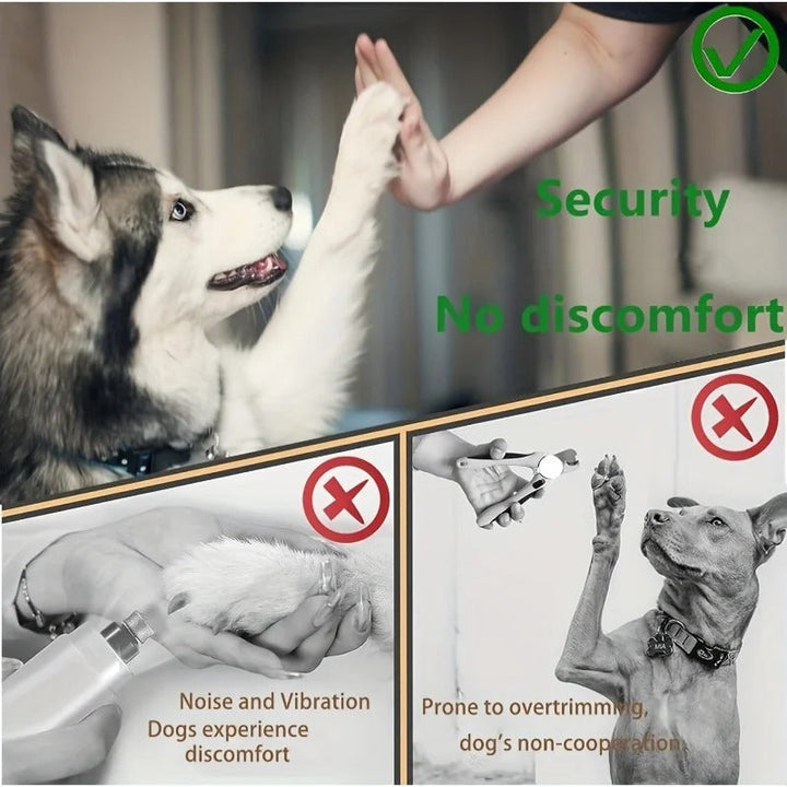 Paw Perfect Scratch & Groom Bowlift