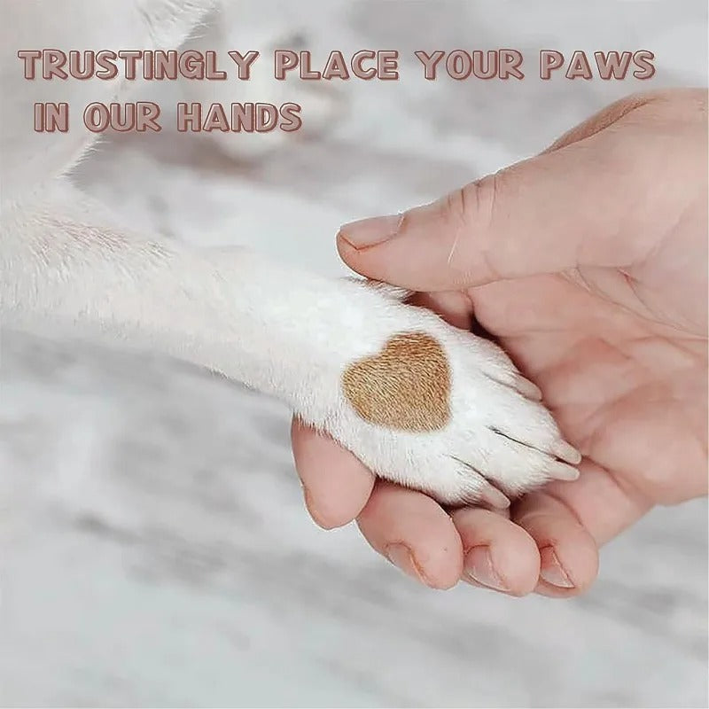 Paw Perfect Scratch & Groom Bowlift