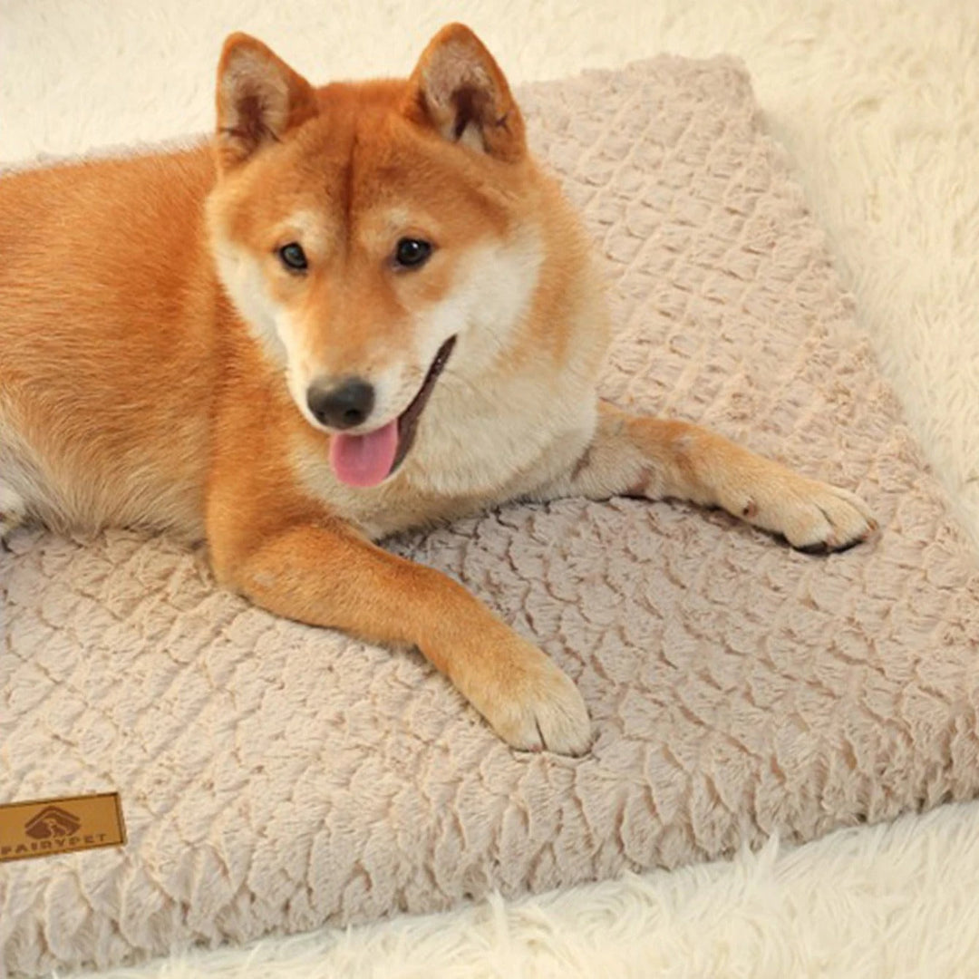 ComfyPaws Dog Mat Bowlift