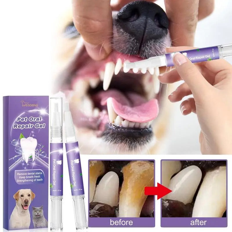 Dental Care Pen for Pets Bowlift