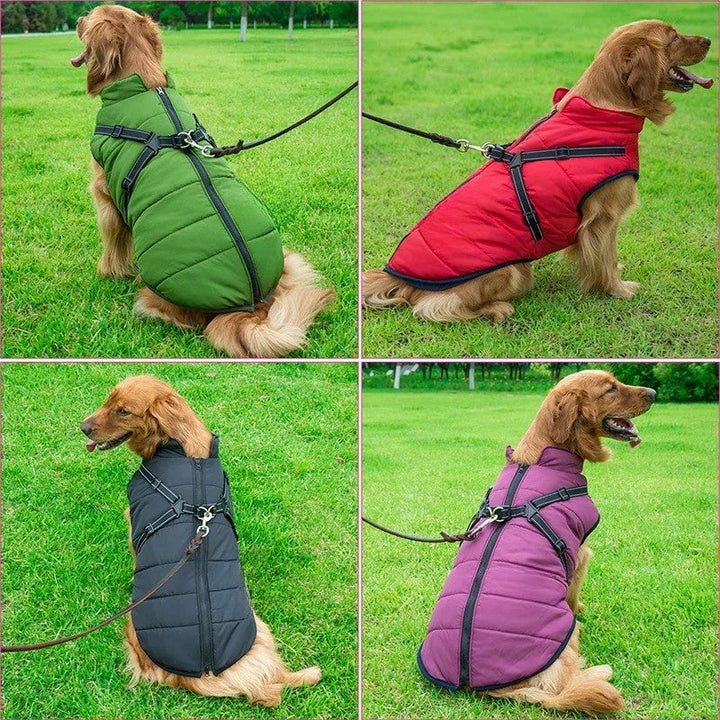 BowLift | All-Weather Insulated Dog Jacket with Built-in Harness