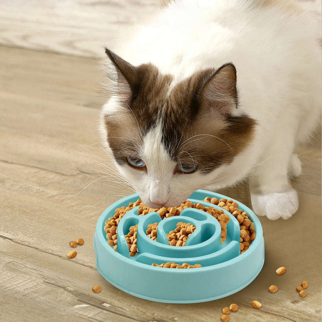 Slow Feed Pet Bowl Bowlift