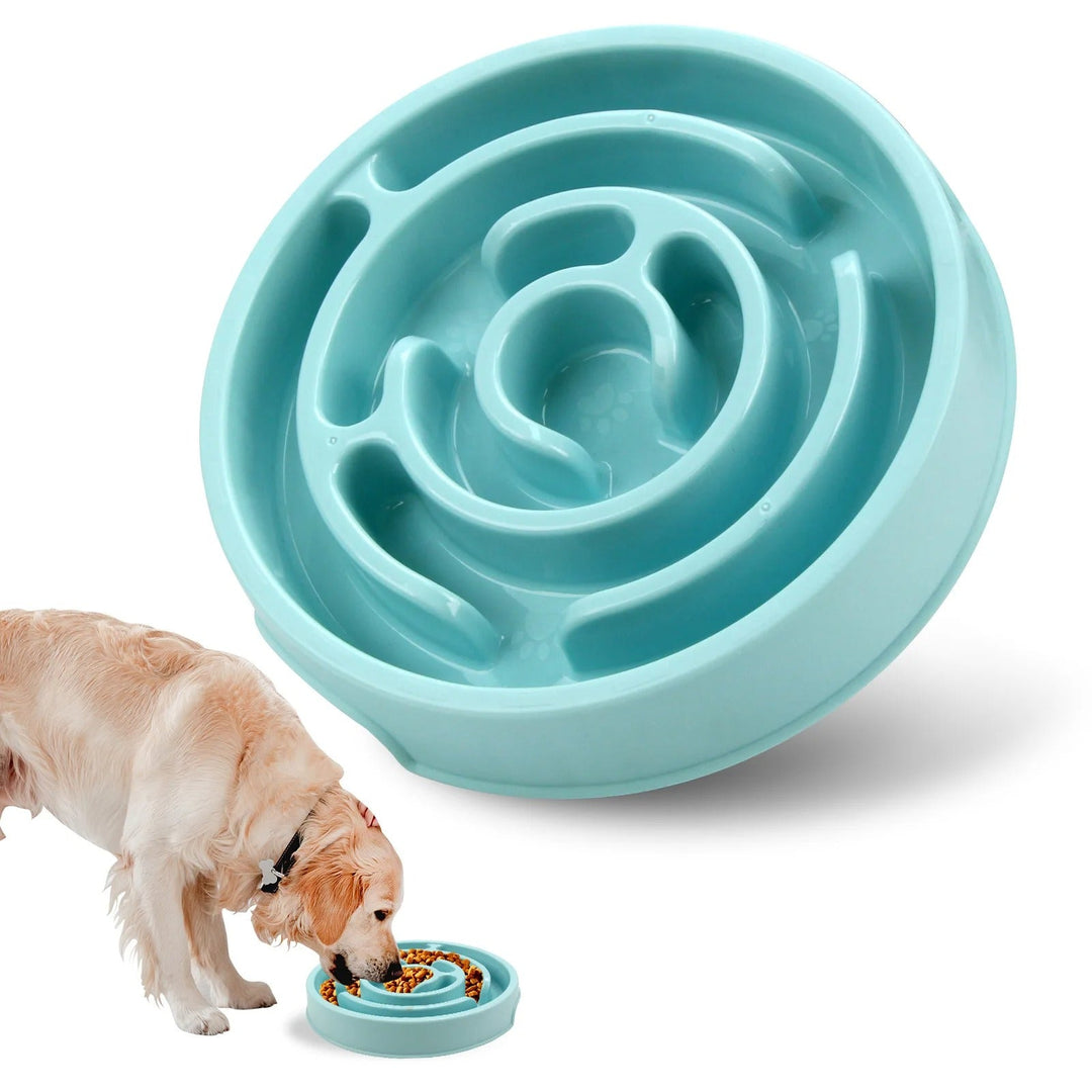 Slow Feed Pet Bowl Bowlift