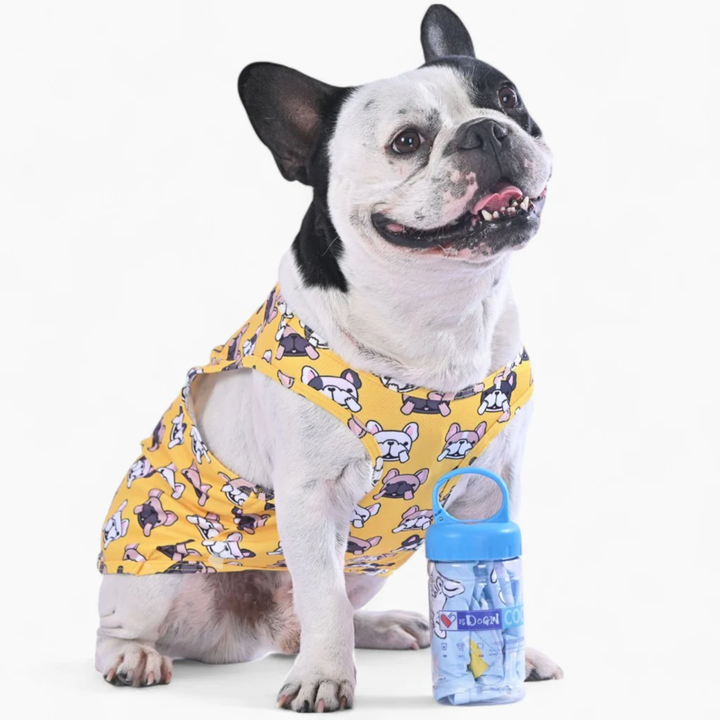 Coolify™: Summer Cooling Vest (CS17) | Bowlift