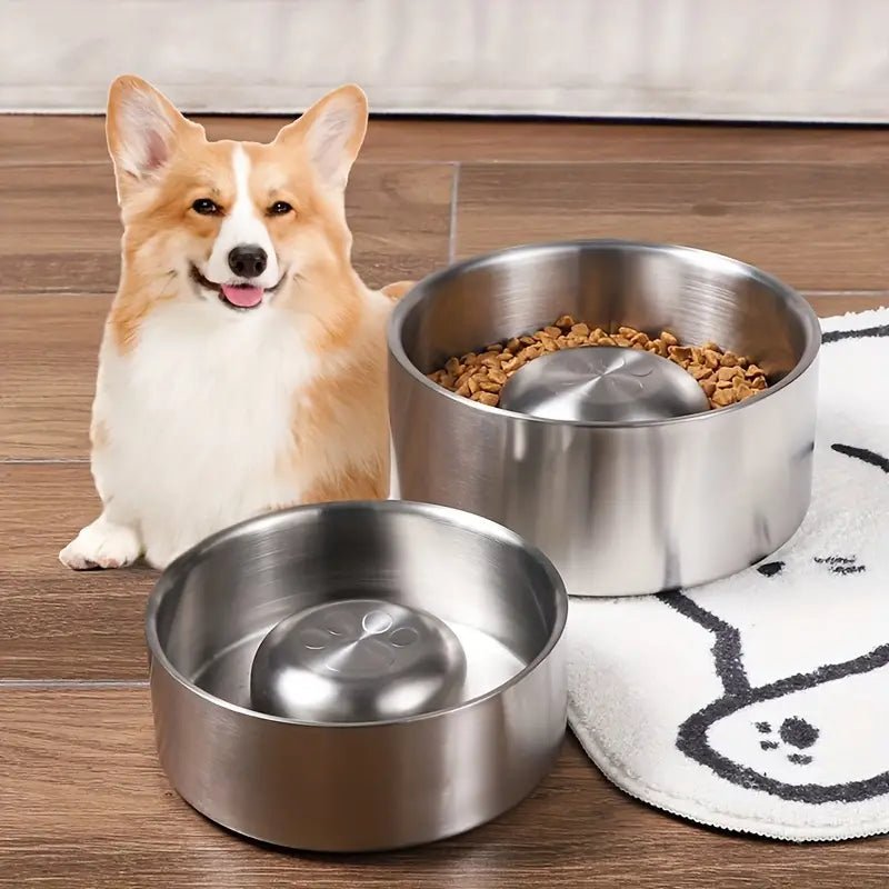 MealPace • Dog Feeding Bowl Slow - Dog Feeding Bowl Slow - BowLift