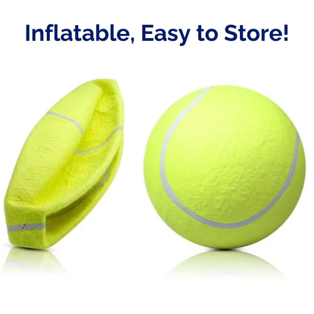 MegaFetch • Dog Tennis Ball - Dog Tennis Ball - BowLift