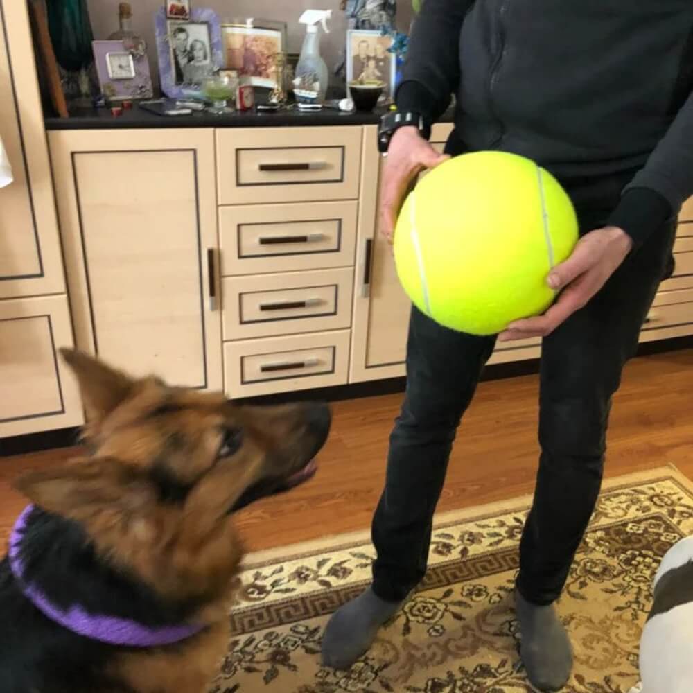 MegaFetch • Dog Tennis Ball - Dog Tennis Ball - BowLift