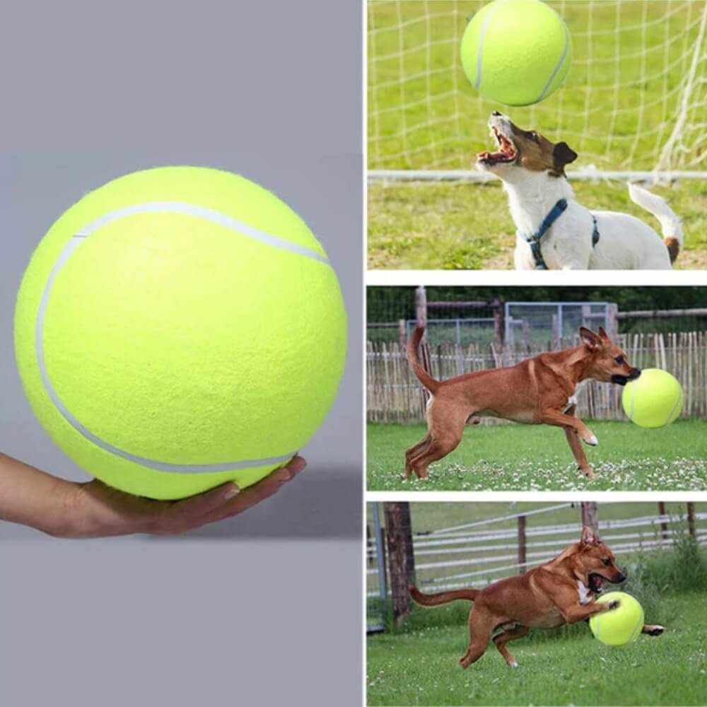 MegaFetch • Dog Tennis Ball - Dog Tennis Ball - BowLift