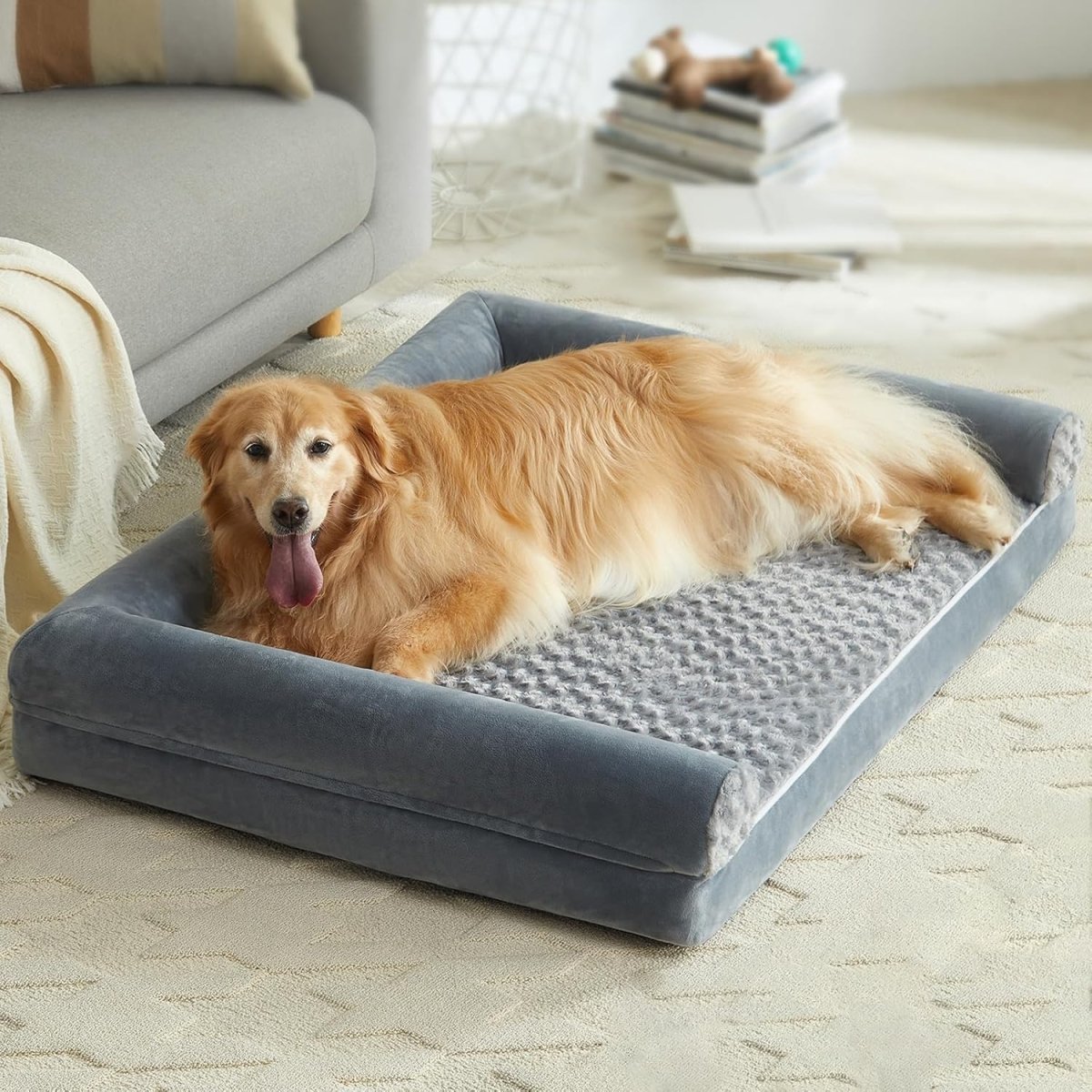 MegaPaws • Orthopedic Dog Bed - Dog Bed - BowLift