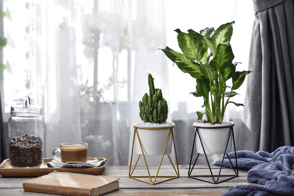 BowLift | LIVIA – Elegant flower pot for stylish decoration