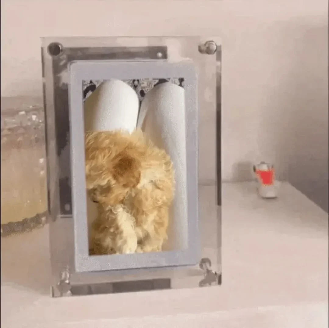 BowLift | Memory Frame | For Eternal Memories