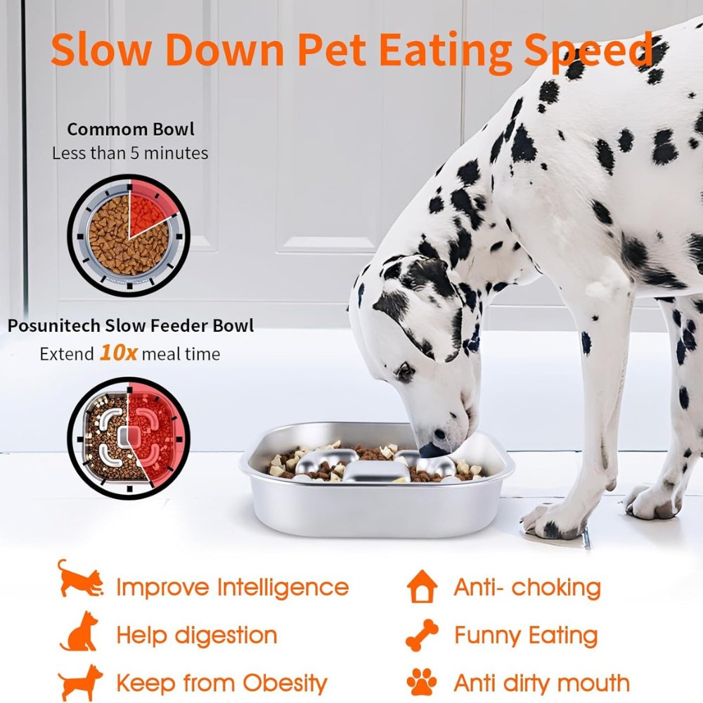 MightyBite • Dog Feeding Bowl Slow - Dog Feeding Bowl Slow - BowLift