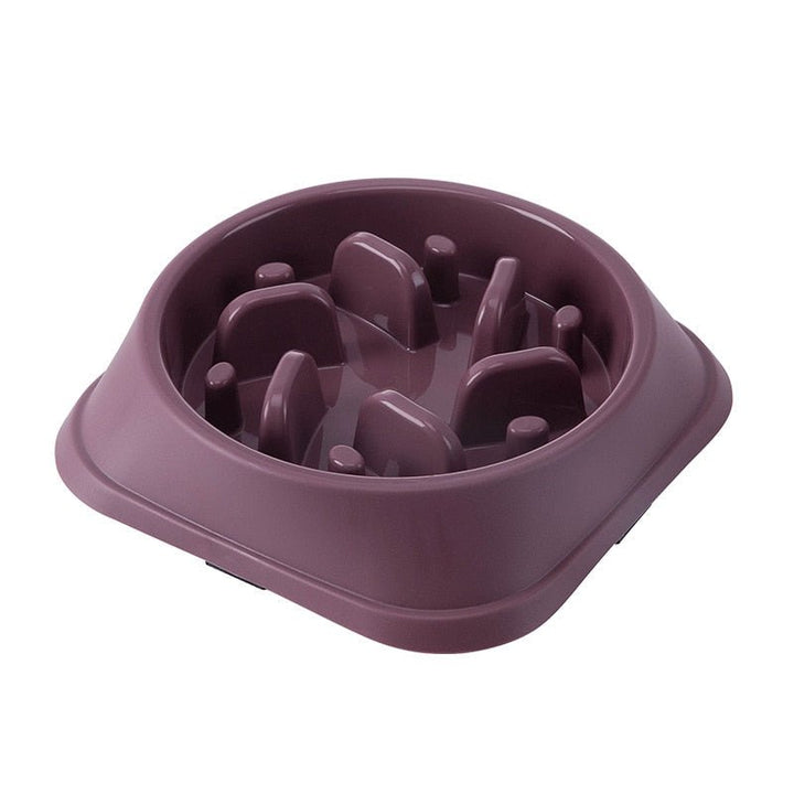 BowLift | NIBBLEMATE – Anti-Gulp Bowl for Healthy Eating in Dogs & Cats