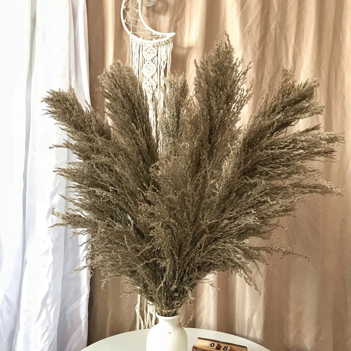 BowLift | FeatherFawn - Dried Pampas Flowers
