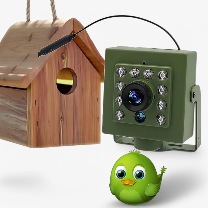 BowLift | Nestcam WLAN Bird Nest Camera – 1080p HD Weatherproof Wildlife Camera with Night Vision, Motion Detection, and Remote Access
