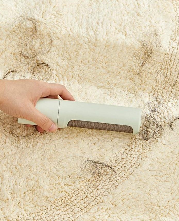 Portable Mini Pet Hair Remover Bowlift