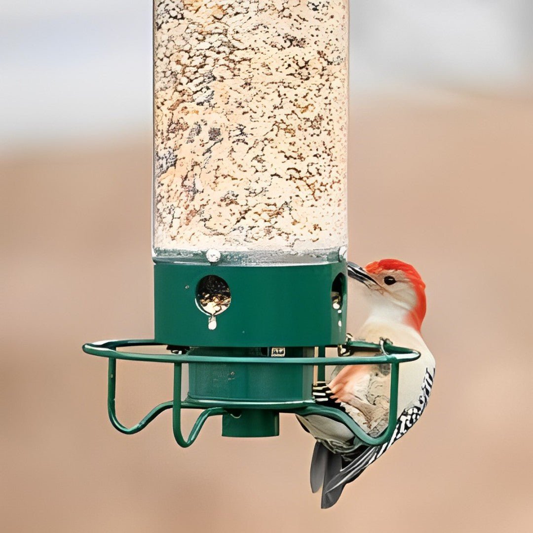 BowLift | NUTRIGUARD – Squirrel-Proof Bird Feeder with Weight Control