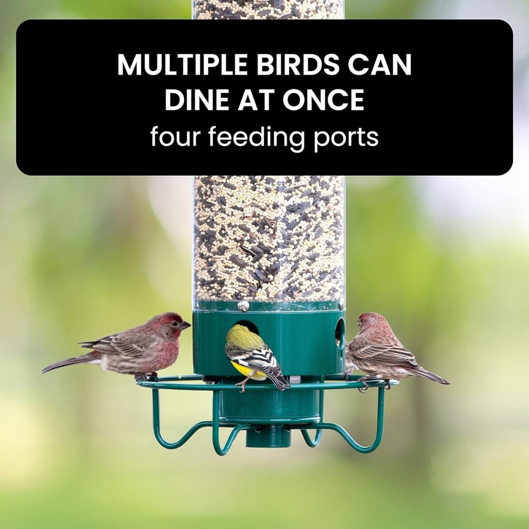 BowLift | NUTRIGUARD – Squirrel-Proof Bird Feeder with Weight Control