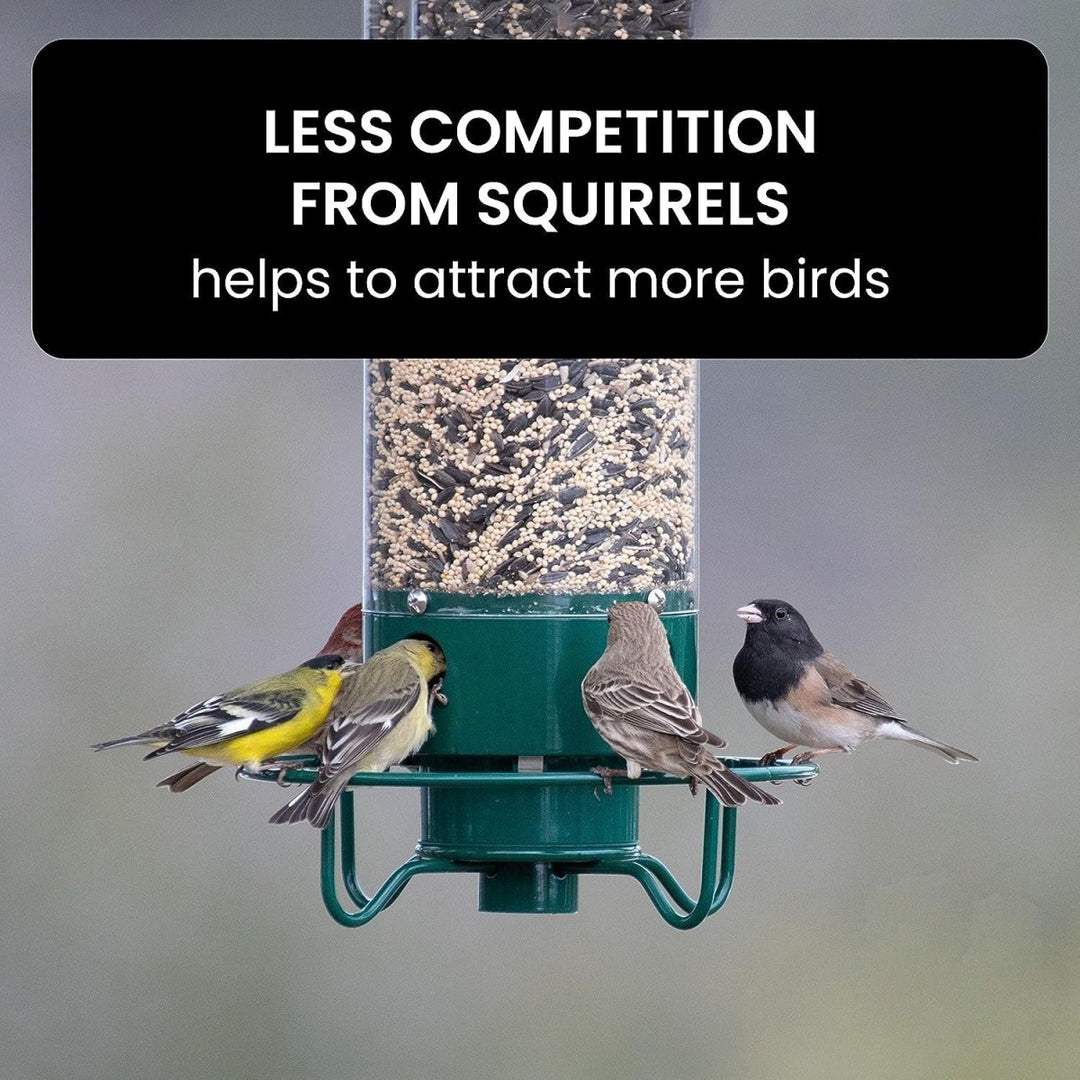 BowLift | NUTRIGUARD – Squirrel-Proof Bird Feeder with Weight Control