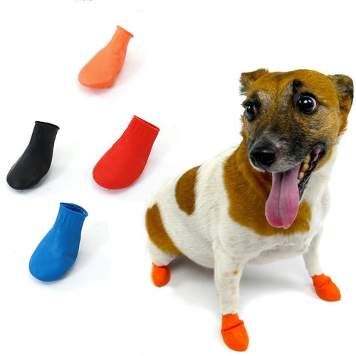BowLift | PootShield Waterproof Dog Shoes with Grip and Protective Comfort