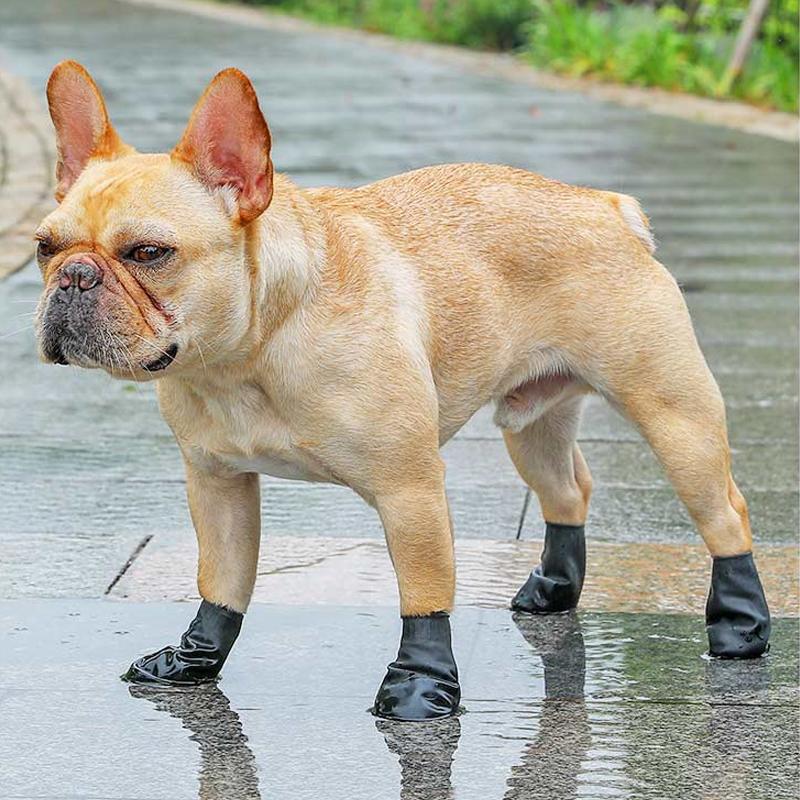BowLift | PootShield Waterproof Dog Shoes with Grip and Protective Comfort