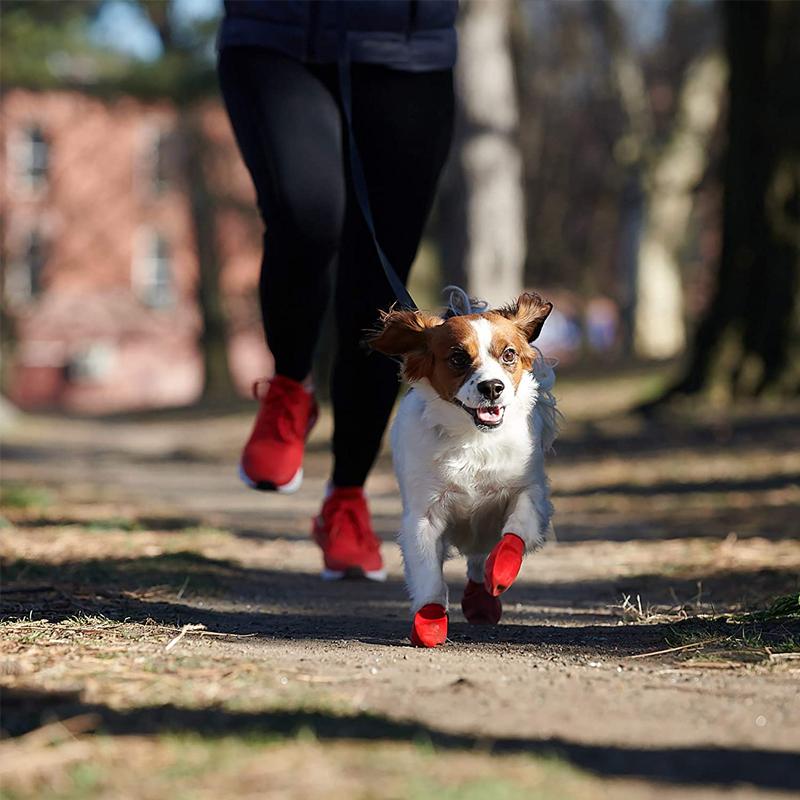 BowLift | PootShield Waterproof Dog Shoes with Grip and Protective Comfort