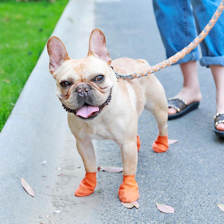 BowLift | PootShield Waterproof Dog Shoes with Grip and Protective Comfort