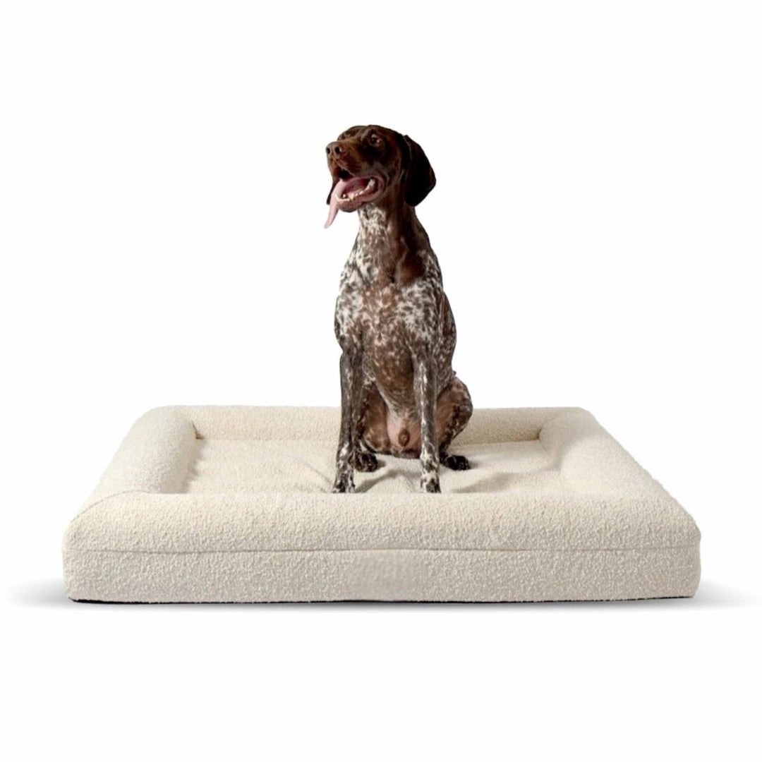 BowLift | Orthopedic Dog Cushion with Bouclé Cover – Memory Foam and Washable