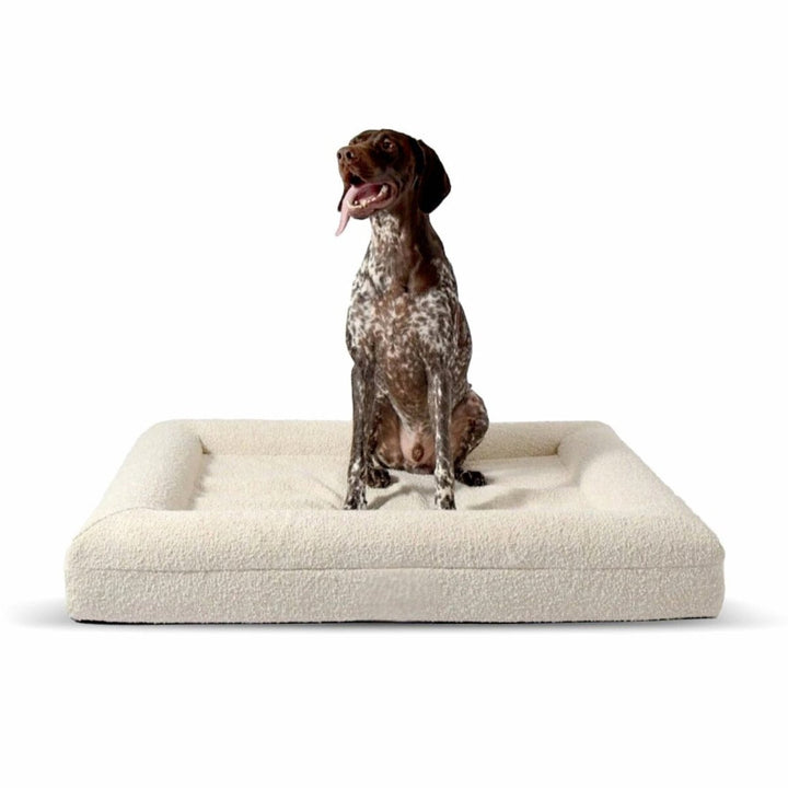 BowLift | Orthopedic Dog Cushion with Bouclé Cover – Memory Foam and Washable