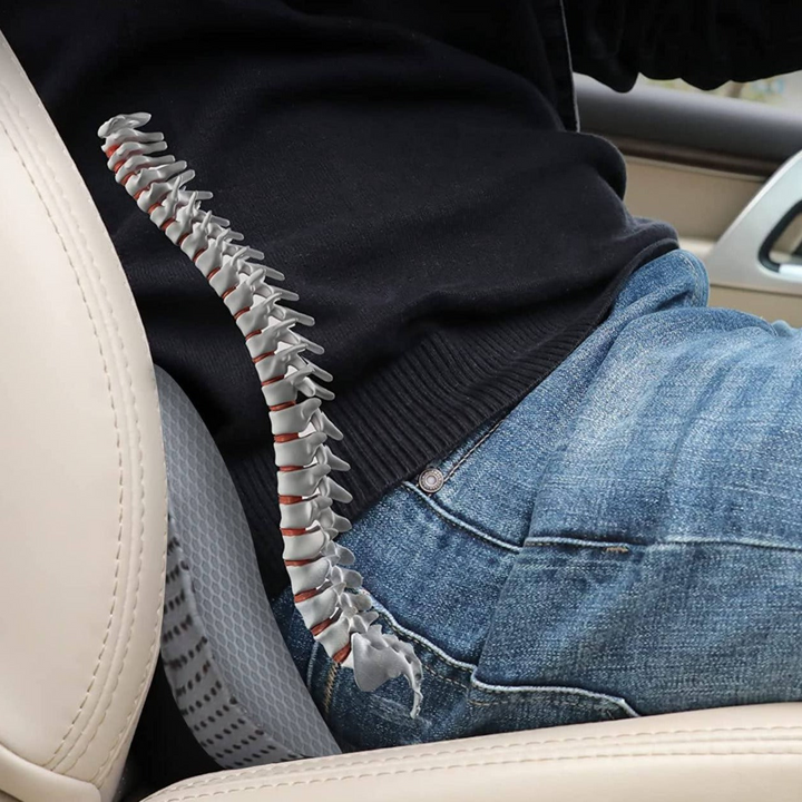 BowLift | Car seat cushion for Adults