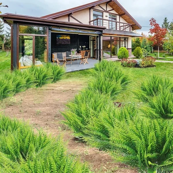 BowLift | UV Resistant Artificial Boston Fern | Lifelike, Waterproof & Maintenance-Free for Outdoor Décor
