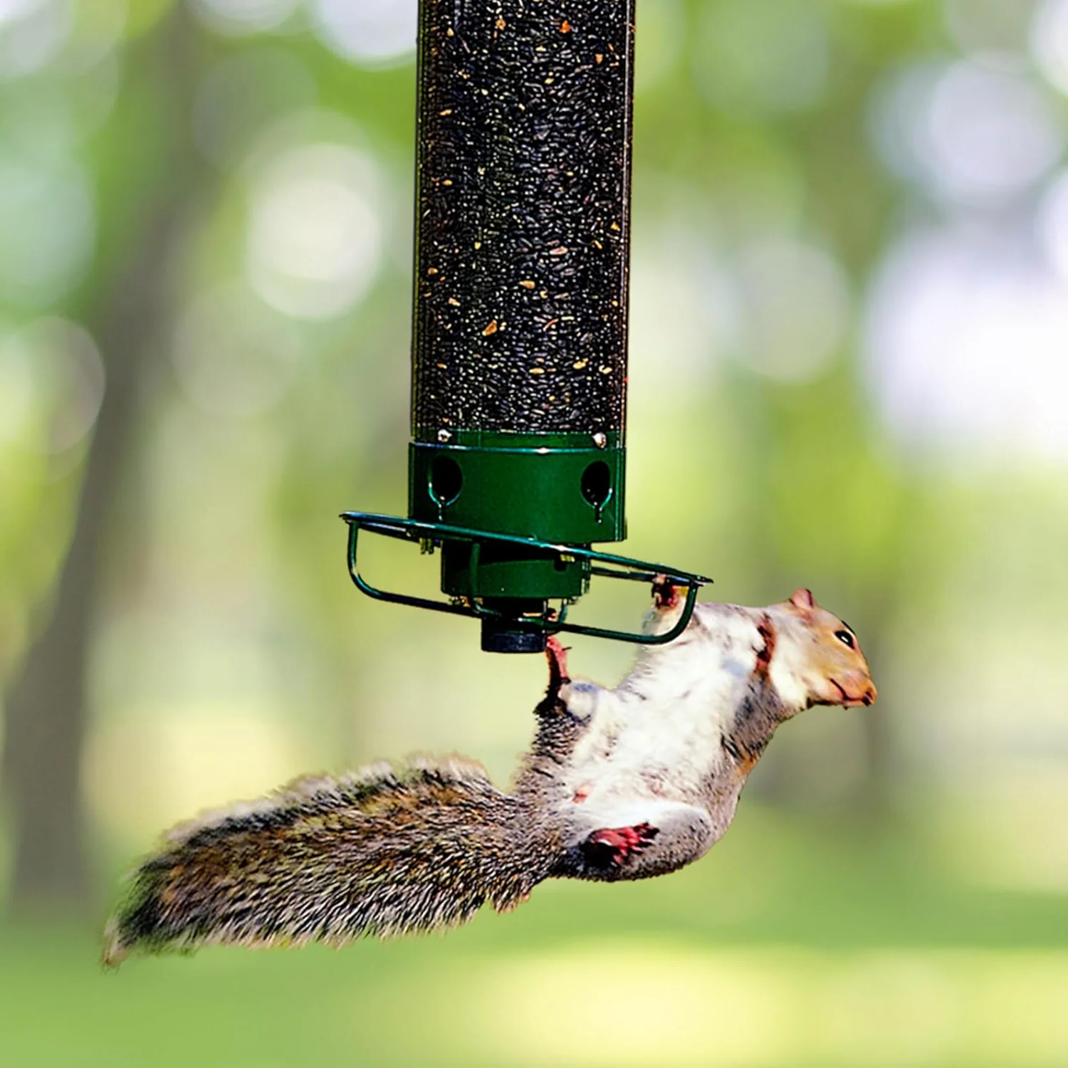 BowLift | Bird Feeder | Squirrel-Proof Hanging Seed Feeder Outdoor