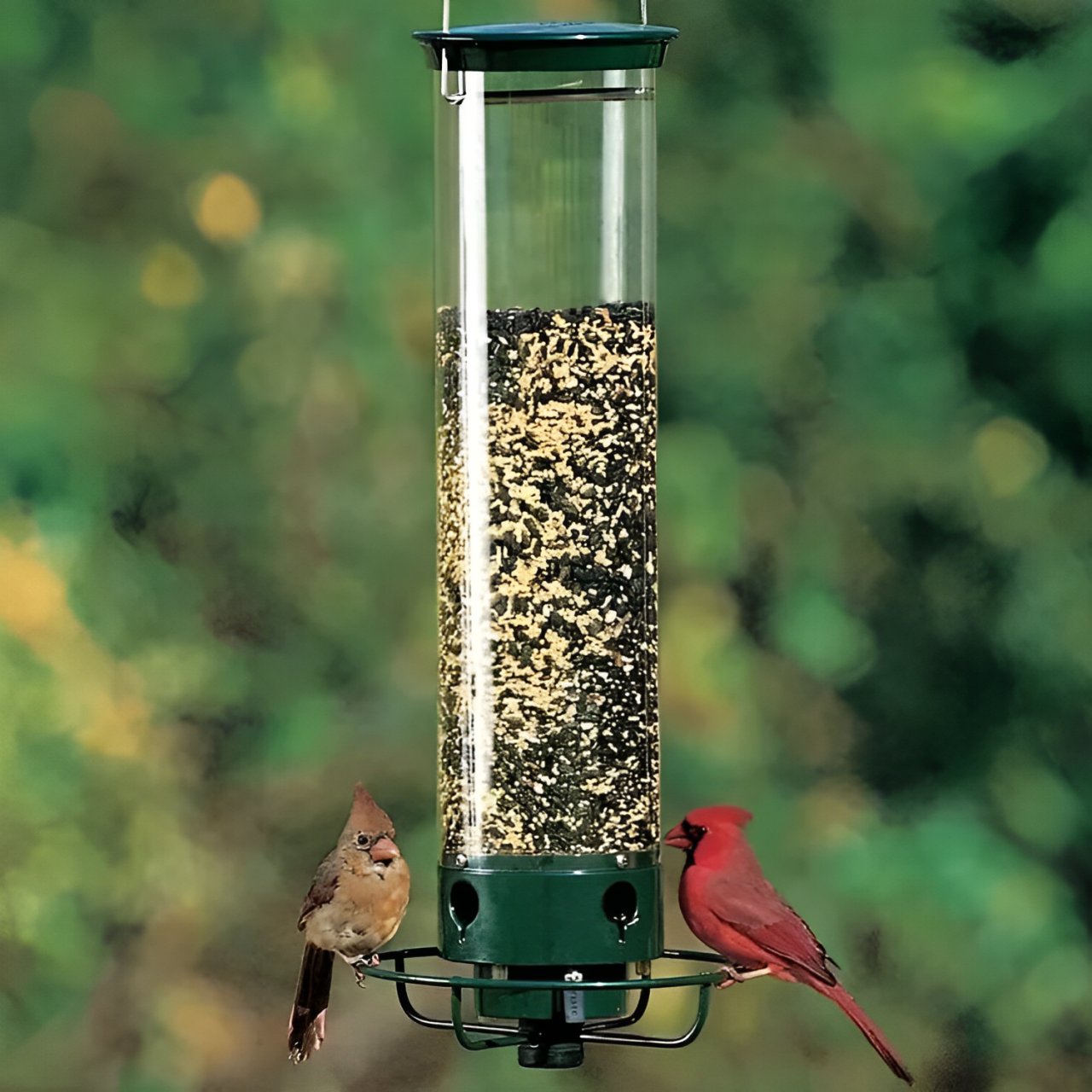 BowLift | Bird Feeder Hanging Metal Squirrel Proof Tube