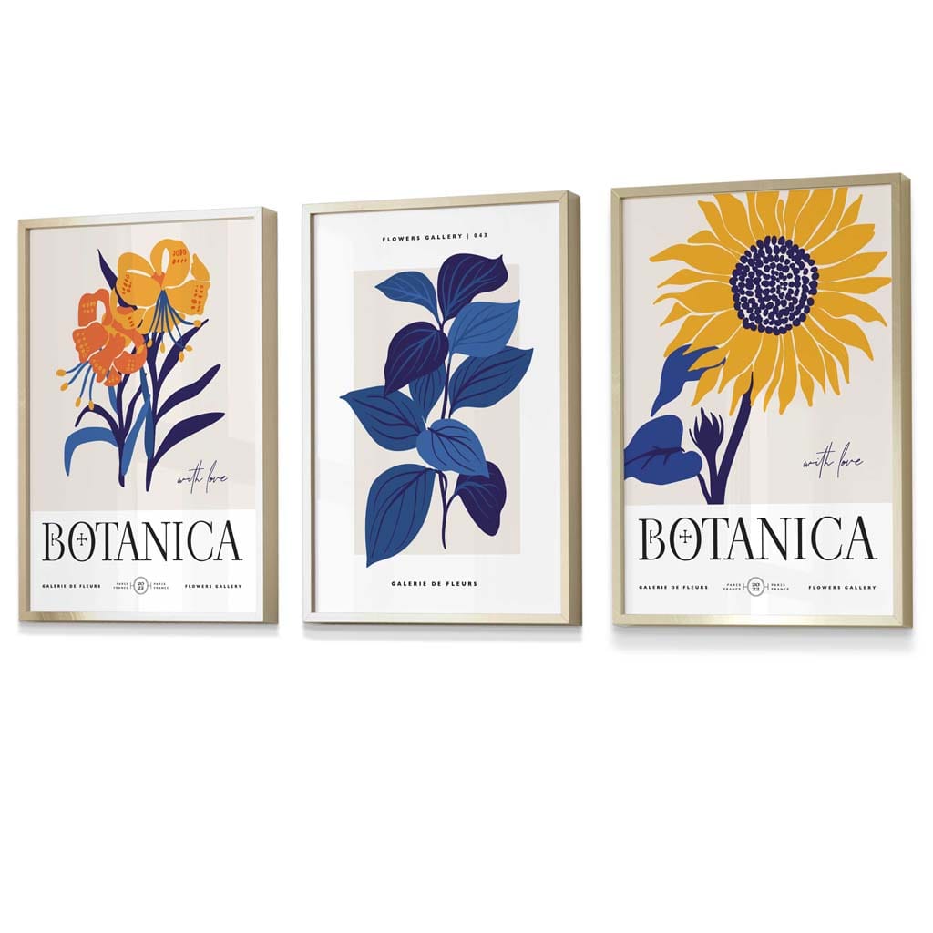Blue & Yellow Set of 3 Floral Boho Sunflower Framed Wall Art Prints | Bowlift