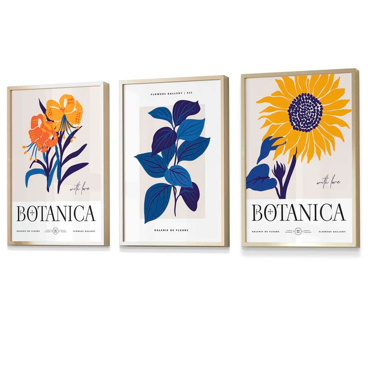Blue & Yellow Set of 3 Floral Boho Sunflower Framed Wall Art Prints | Bowlift