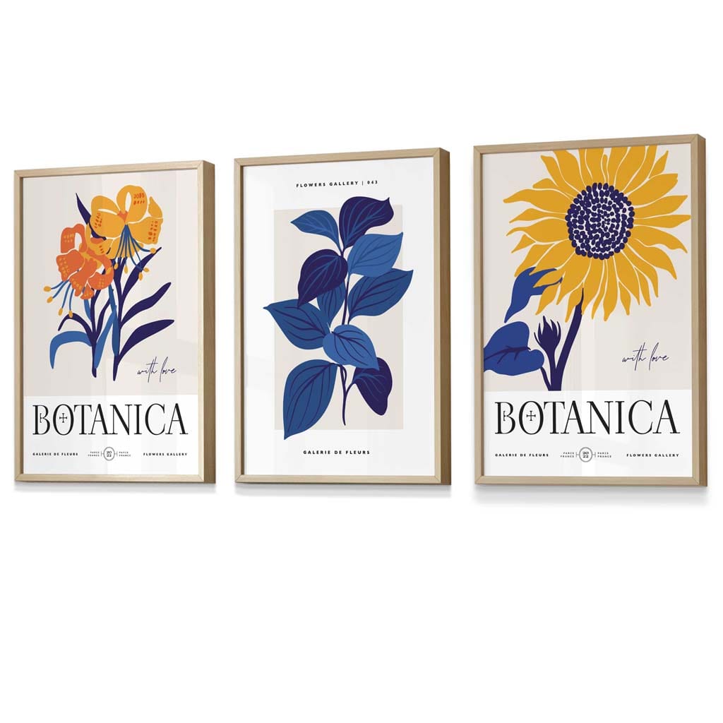 Blue & Yellow Set of 3 Floral Boho Sunflower Framed Wall Art Prints | Bowlift