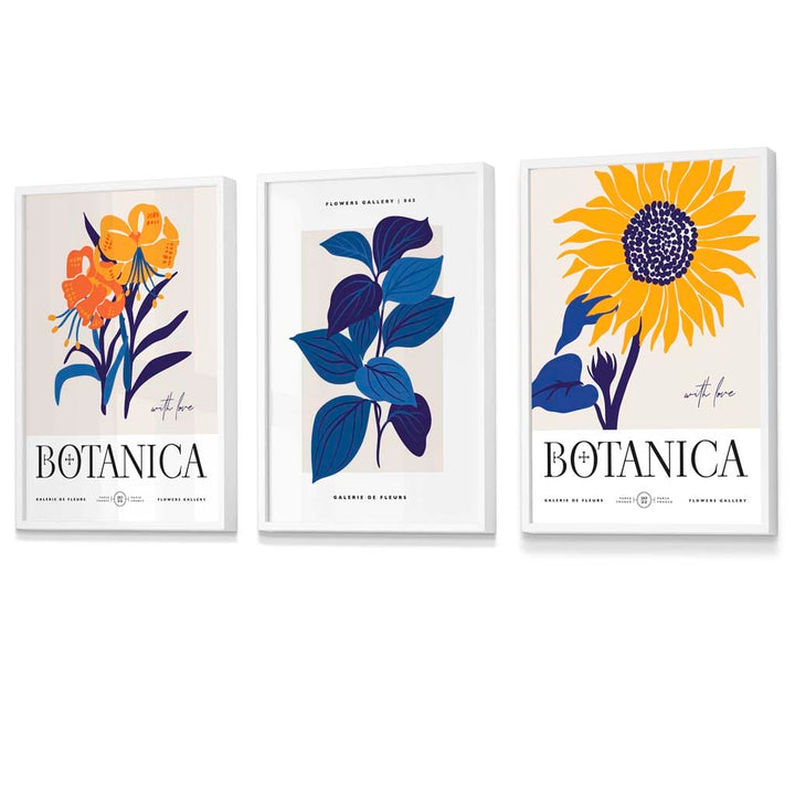 Blue & Yellow Set of 3 Floral Boho Sunflower Framed Wall Art Prints | Bowlift