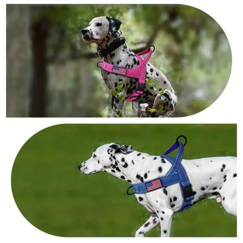 PatriotGuard • No Pull Dog Harness - No Pull Dog Harness - BowLift