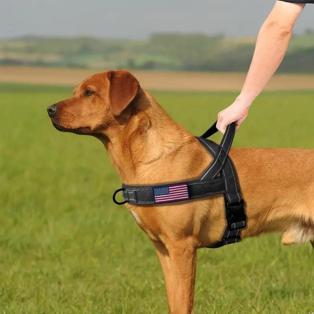 PatriotGuard • No Pull Dog Harness - No Pull Dog Harness - BowLift