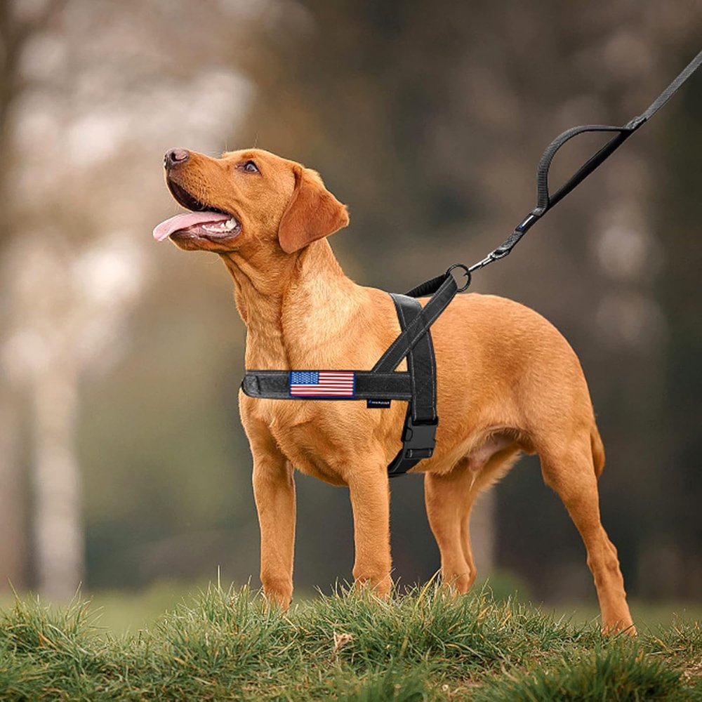 PatriotGuard • No Pull Dog Harness - No Pull Dog Harness - BowLift