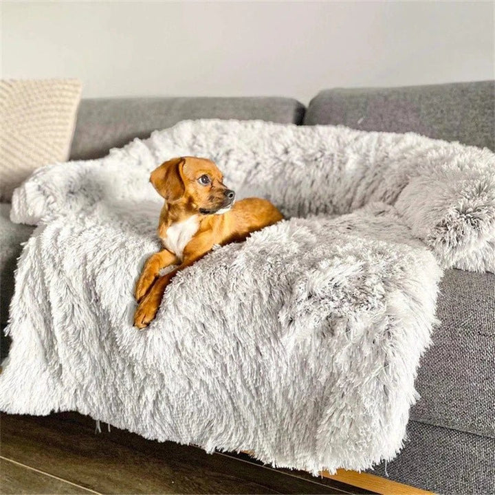 BowLift | PAWCLOUD SOFA – Cozy Pet Bed with Raised Border and Furniture Guard