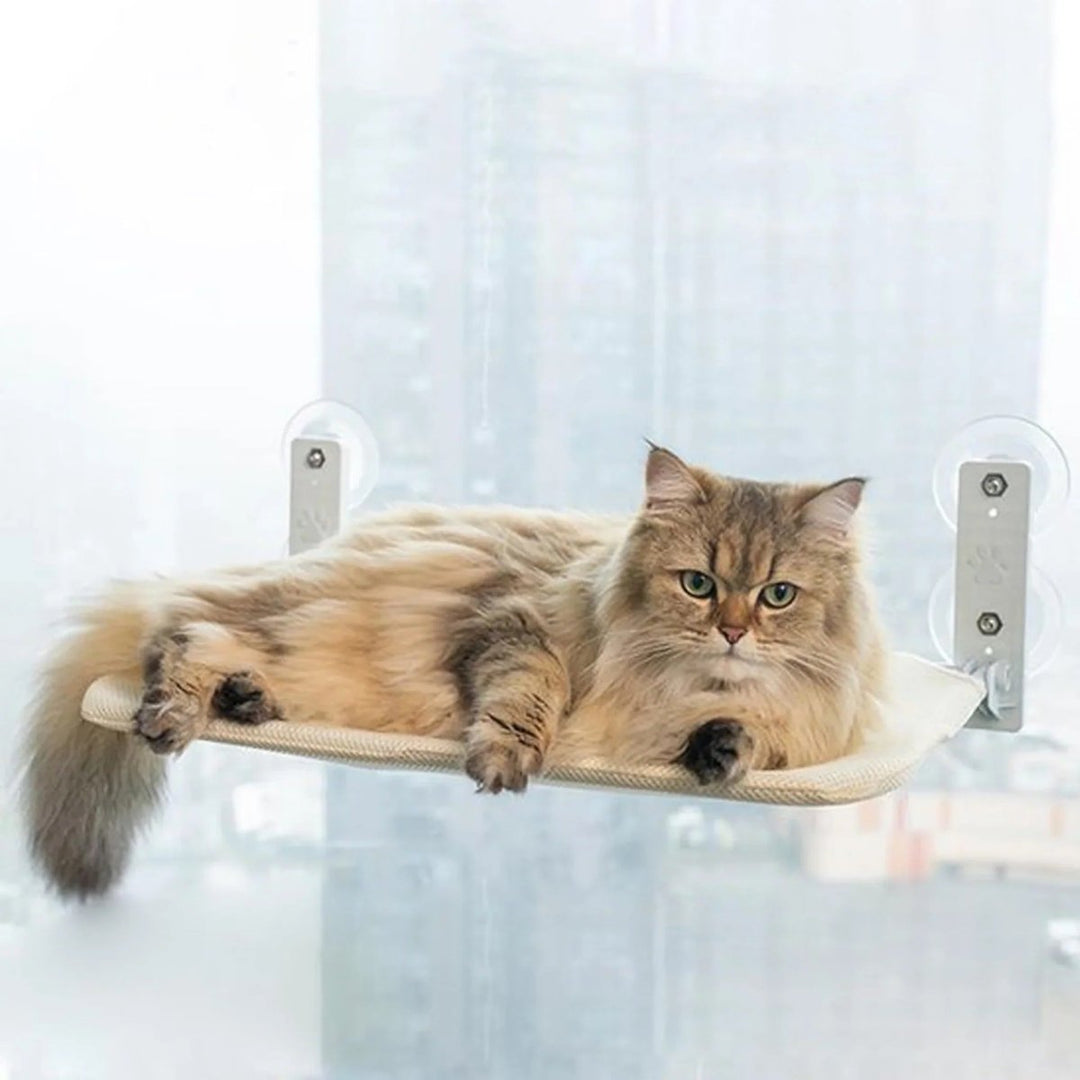 BowLift | PAWPERCH – Foldable Cat Hammock with Wall-Friendly Mount | No-Drill Window Seat