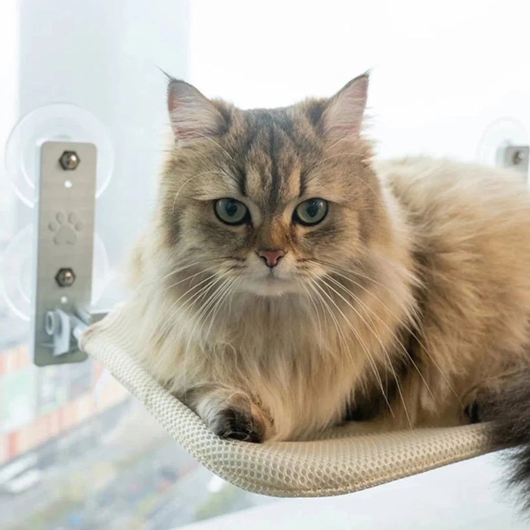 BowLift | PAWPERCH – Foldable Cat Hammock with Wall-Friendly Mount | No-Drill Window Seat