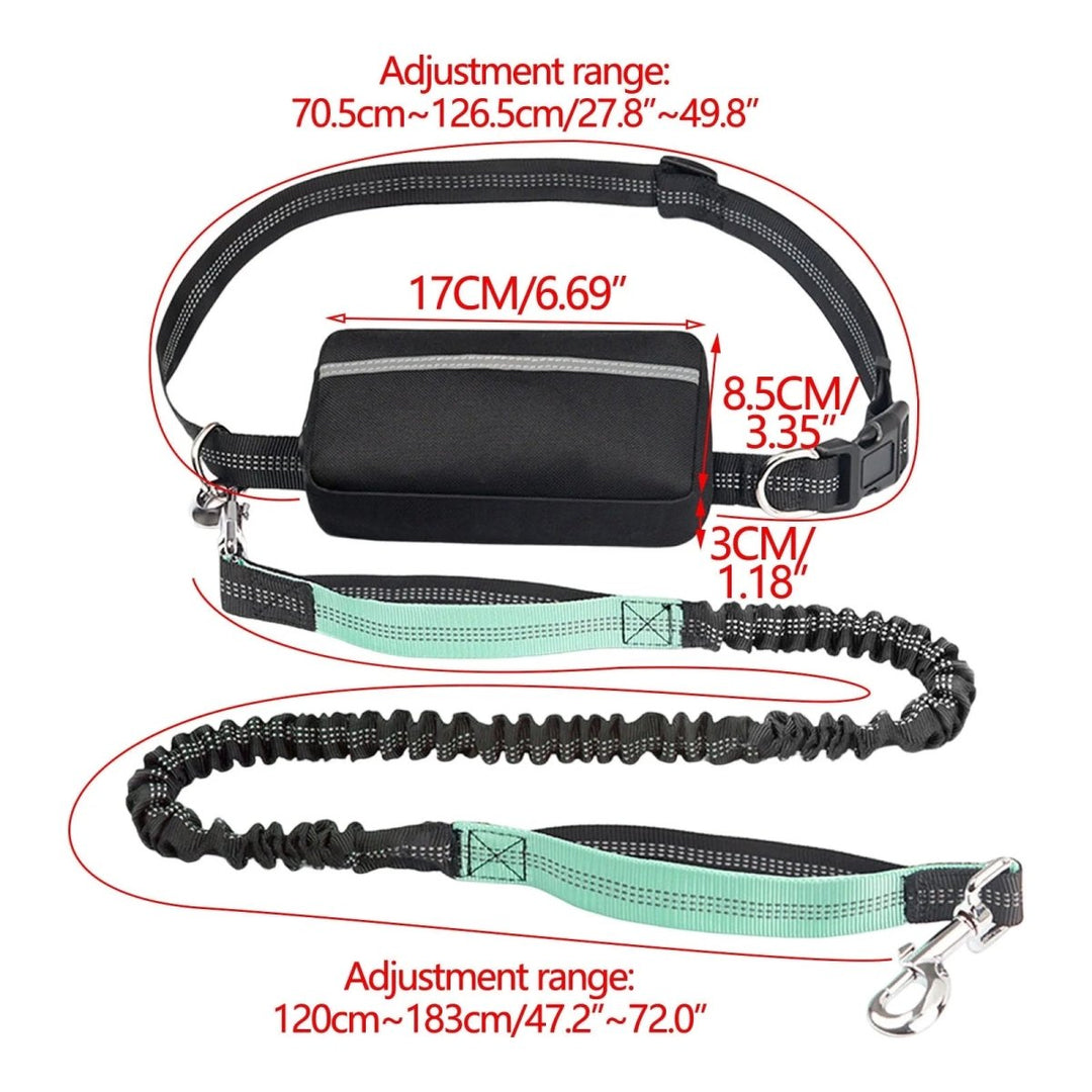 BowLift | PAWRUNNER Freedom Leash – Hands-Free Dog Leash with Padded Handles