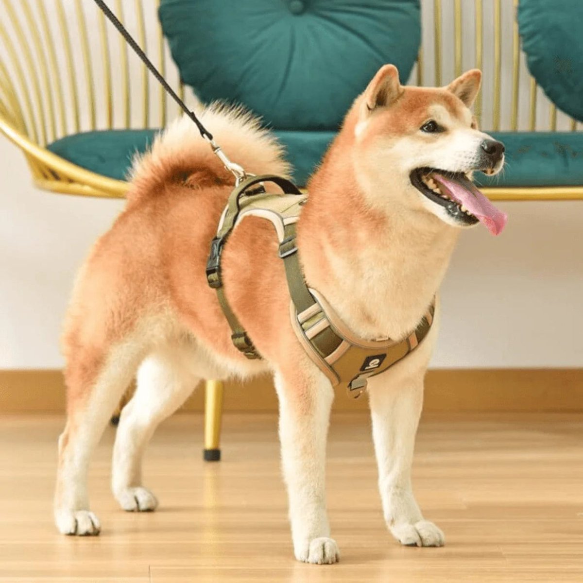 PawsControl - The Ultimate No Pull Dog Harness - No - Pull Dog Harness - BowLift