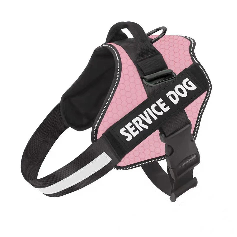 PawsFit • No Pull Dog Harness - No Pull Dog Harness - BowLift