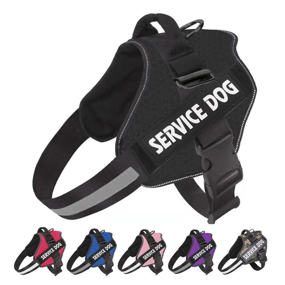 PawsFit • No Pull Dog Harness - No Pull Dog Harness - BowLift